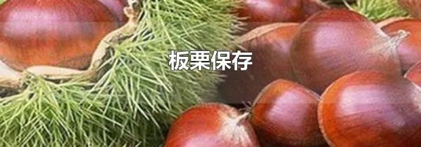 板栗保存