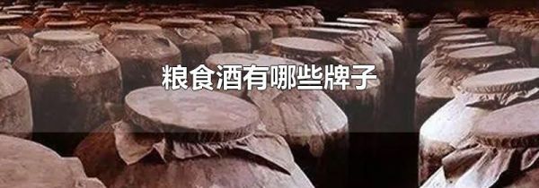 粮食酒有哪些牌子