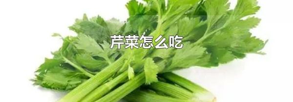 芹菜怎么吃