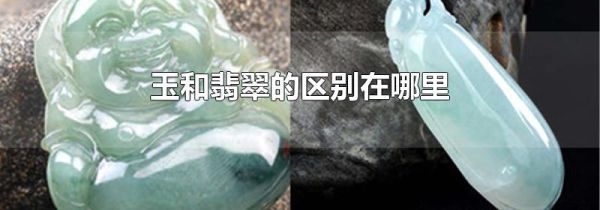 玉和翡翠的区别在哪里