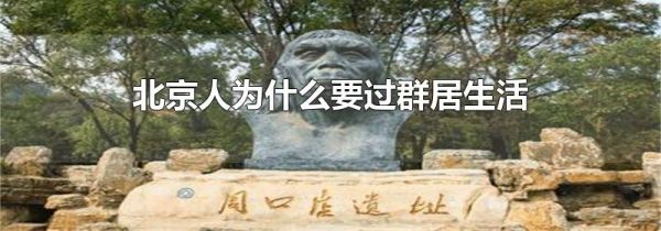 北京人为什么要过群居生活