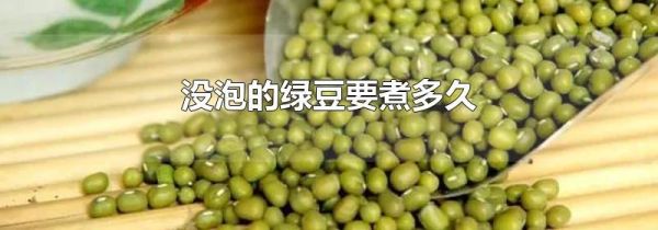 没泡的绿豆要煮多久
