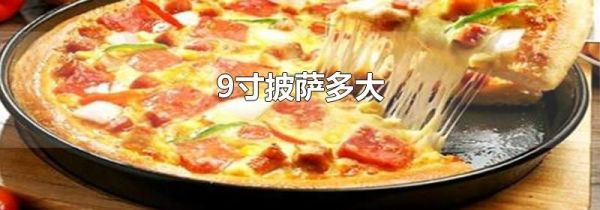 9寸披萨多大