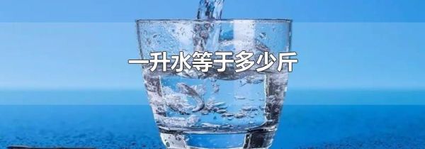 一升水等于多少斤