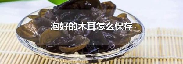泡好的木耳怎么保存