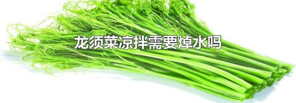 龙须菜凉拌需要焯水吗