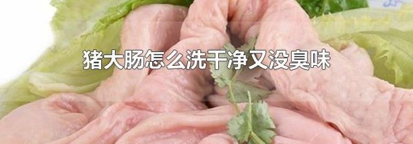 猪大肠怎么洗干净又没臭味