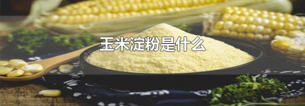 玉米淀粉是什么