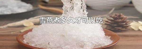 雪燕煮多久才可以吃
