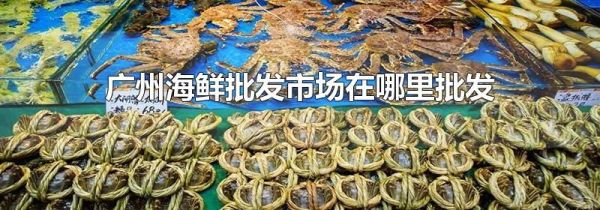广州海鲜批发市场在哪里批发