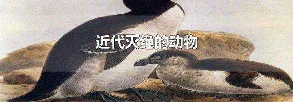 近代灭绝的动物