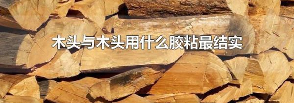 木头与木头用什么胶粘最结实