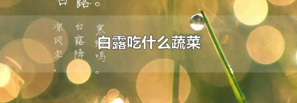 白露吃什么蔬菜
