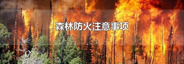 森林防火注意事项