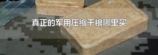 真正的军用压缩干粮哪里买