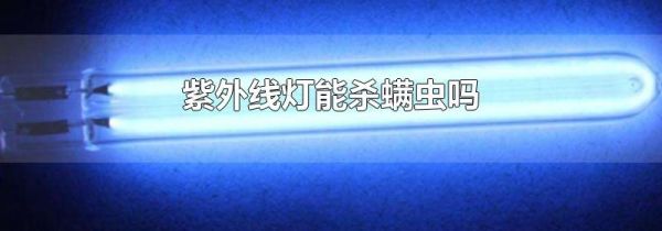 紫外线灯能杀螨虫吗