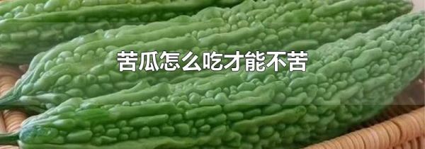 苦瓜怎么吃才能不苦