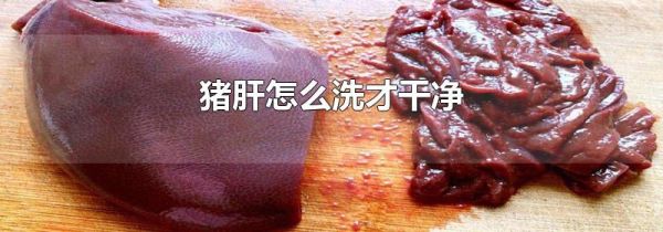猪肝怎么洗才干净