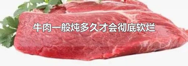 牛肉一般炖多久才会彻底软烂