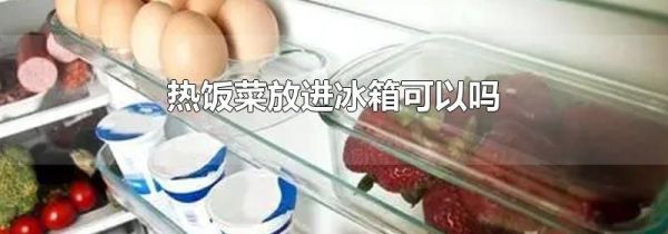 热饭菜放进冰箱可以吗