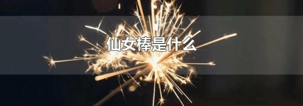 仙女棒是什么