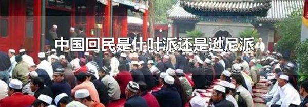 中国回民是什叶派还是逊尼派