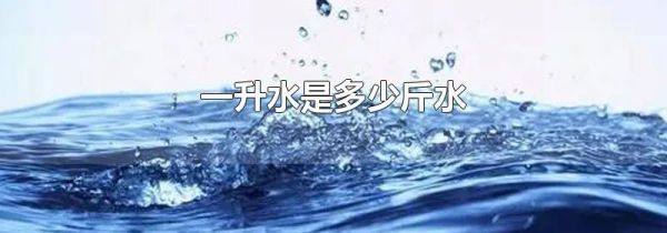 一升水是多少斤水