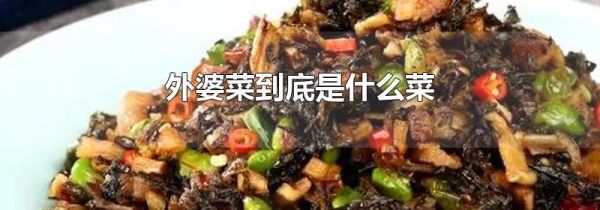 外婆菜到底是什么菜