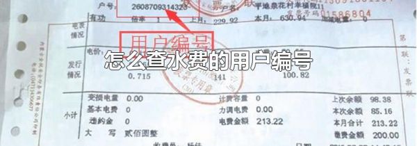 怎么查水费的用户编号