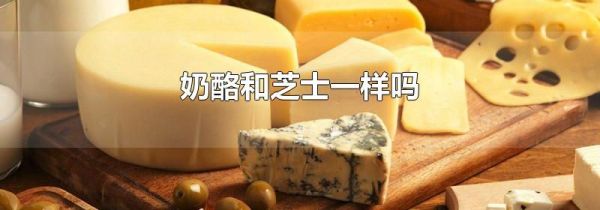 奶酪和芝士一样吗