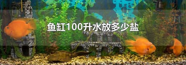 鱼缸100升水放多少盐