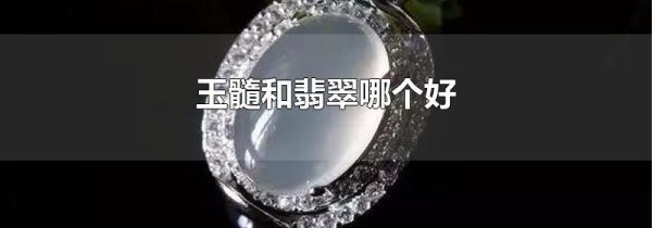 玉髓和翡翠哪个好