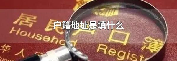 户籍地址是填什么