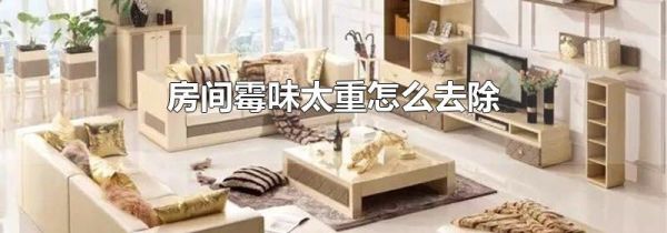 房间霉味太重怎么去除