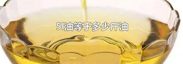 5l油等于多少斤油
