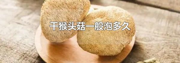 干猴头菇一般泡多久