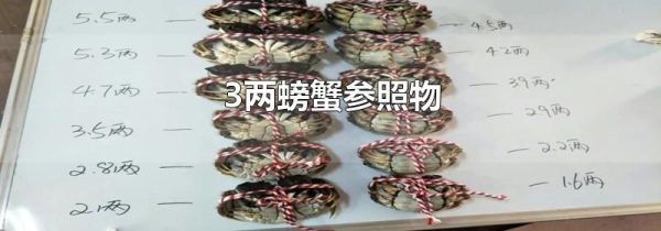 3两螃蟹参照物