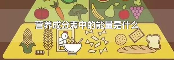 营养成分表中的能量是什么