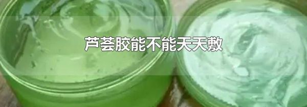 芦荟胶能不能天天敷