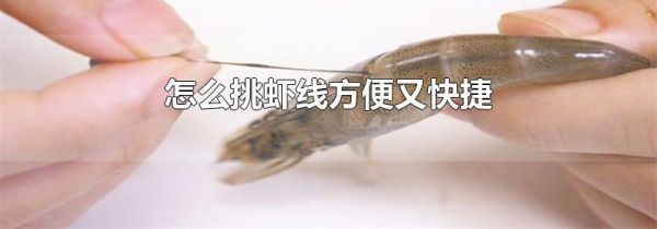 怎么挑虾线方便又快捷