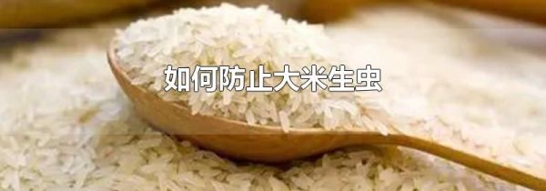 如何防止大米生虫