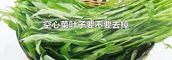 空心菜叶子要不要去掉