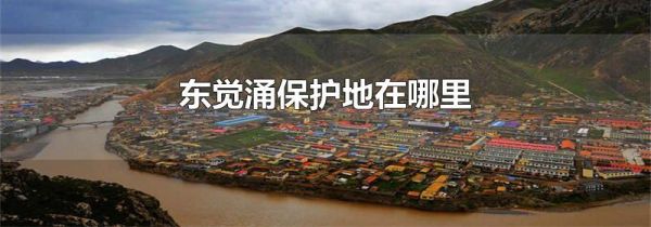 东觉涌保护地在哪里