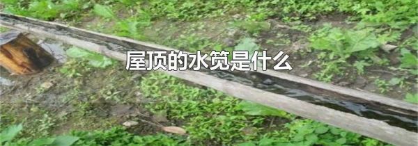 屋顶的水笕是什么