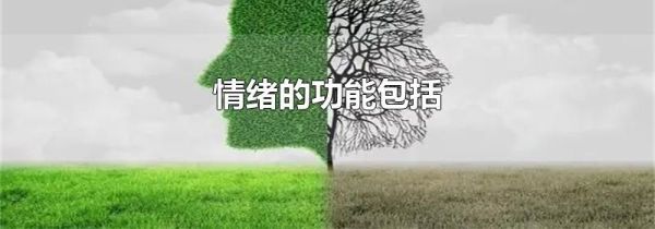 情绪的功能包括