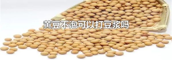 黄豆不泡可以打豆浆吗