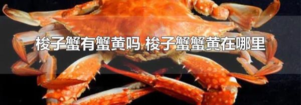 梭子蟹有蟹黄吗 梭子蟹蟹黄在哪里