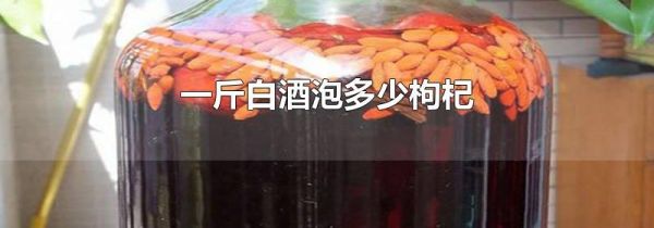 一斤白酒泡多少枸杞
