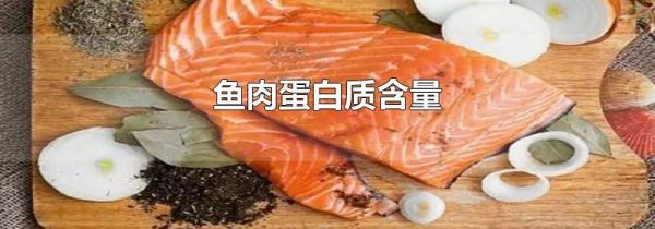 鱼肉蛋白质含量
