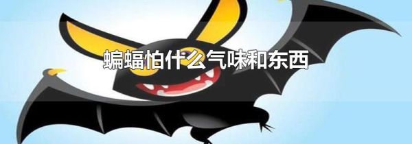 蝙蝠怕什么气味和东西